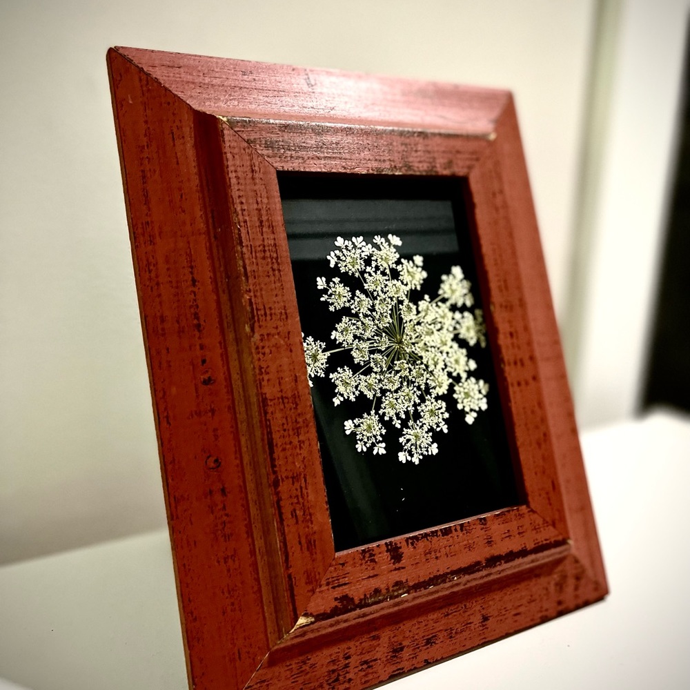 ⚘ Framed Wildflowers ⚘ - Picture 3 of 3